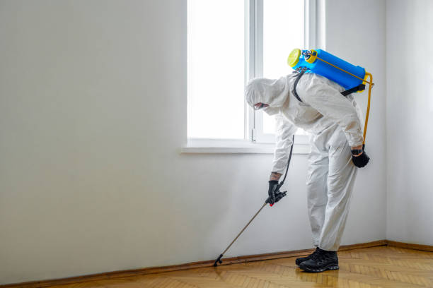 Professional Pest Control in Tokeneke, CT